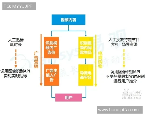 上海滑板队的管理模式与发展趋势深度解析 上海滑板队的管理模式与发展趋势深度解析