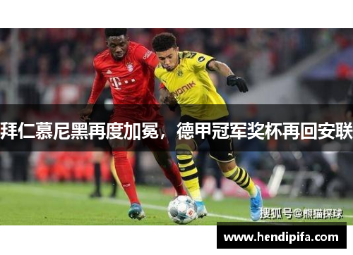 拜仁慕尼黑再度加冕，德甲冠军奖杯再回安联