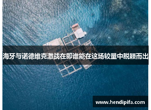 海牙与诺德维克激战在即谁能在这场较量中脱颖而出