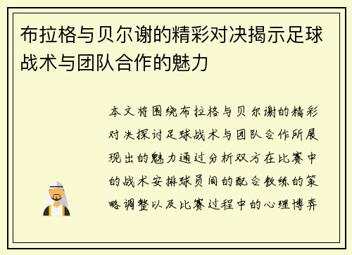 布拉格与贝尔谢的精彩对决揭示足球战术与团队合作的魅力